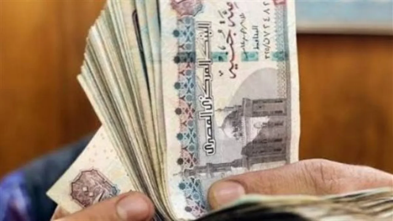 استعد للانطلاق… الفئات المستحقة لمعاش تكافل وكرامة تفتح باب التسجيل قريبًا